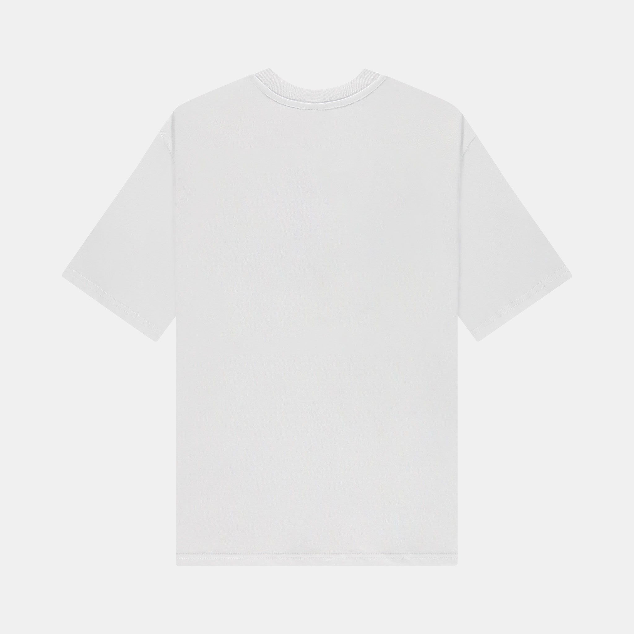 Seagull Tee