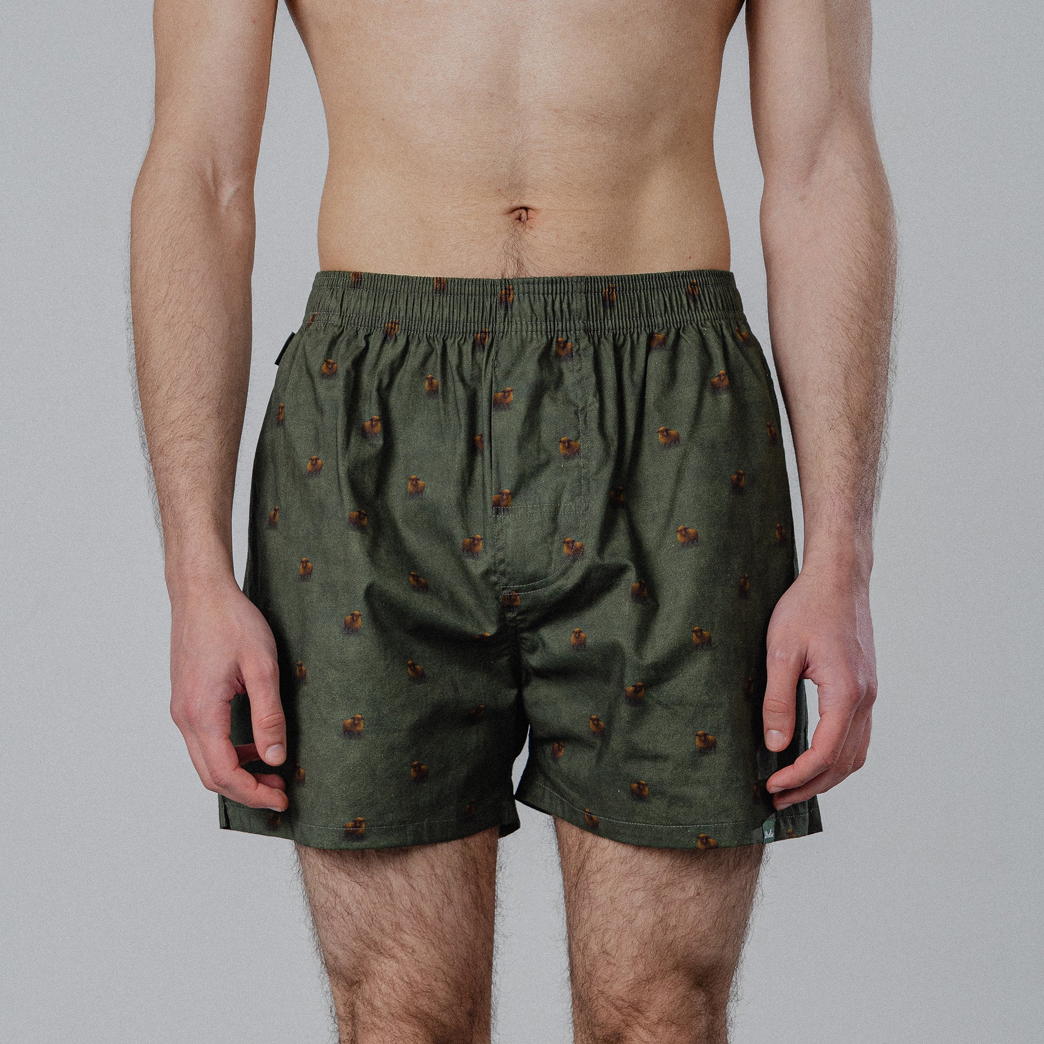 Sheep Boxers - Green