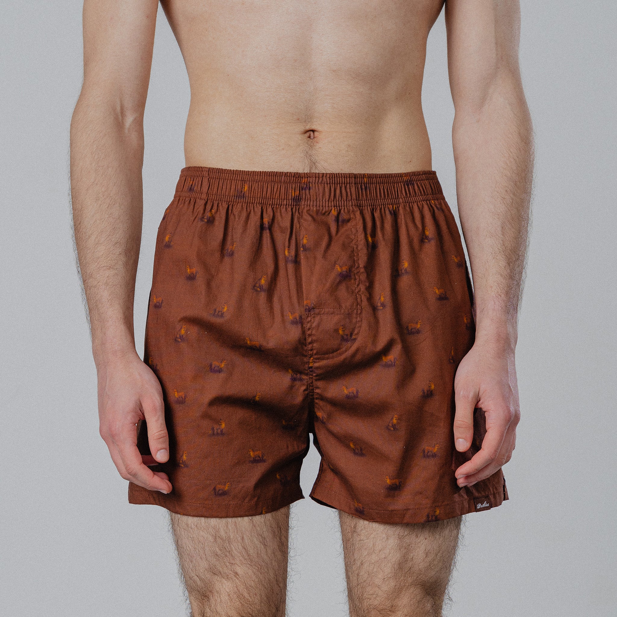 Fox Boxers - Brown